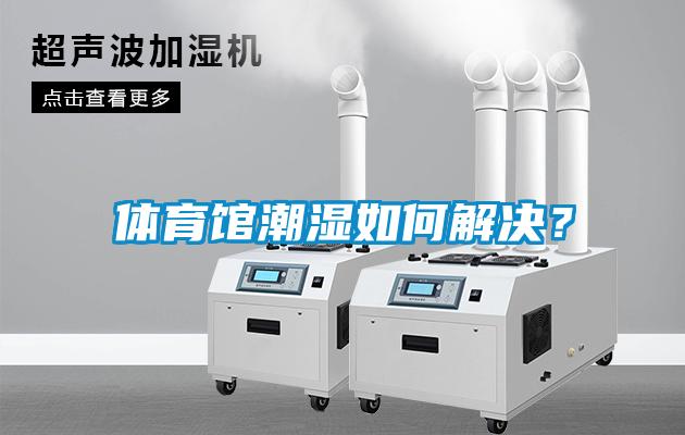 體育館潮濕如何解決？