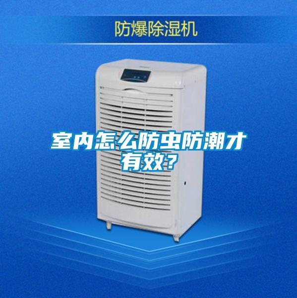 室內(nèi)怎么防蟲防潮才有效？