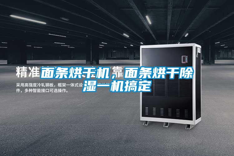 面條烘干機(jī)，面條烘干除濕一機(jī)搞定