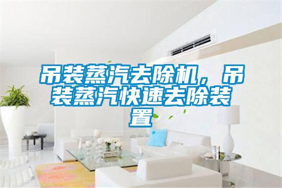 吊裝蒸汽去除機，吊裝蒸汽快速去除裝置
