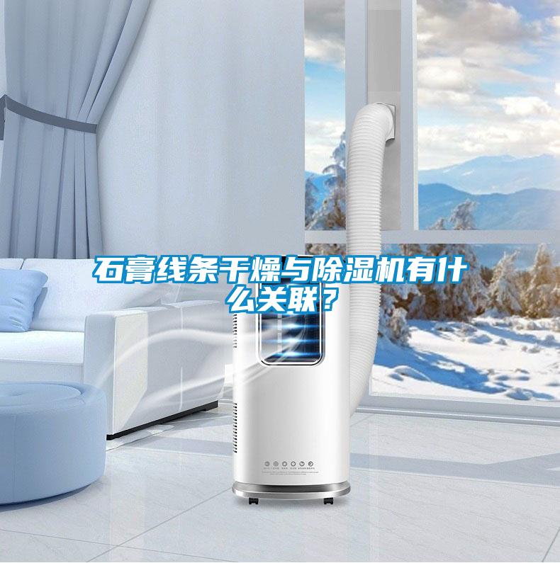 石膏線條干燥與除濕機(jī)有什么關(guān)聯(lián)？