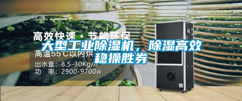 大型工業(yè)除濕機(jī)，除濕高效穩(wěn)操勝券