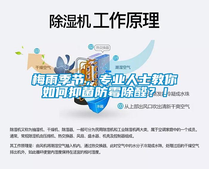 梅雨季節(jié)，專(zhuān)業(yè)人士教你如何抑菌防霉除醛？！