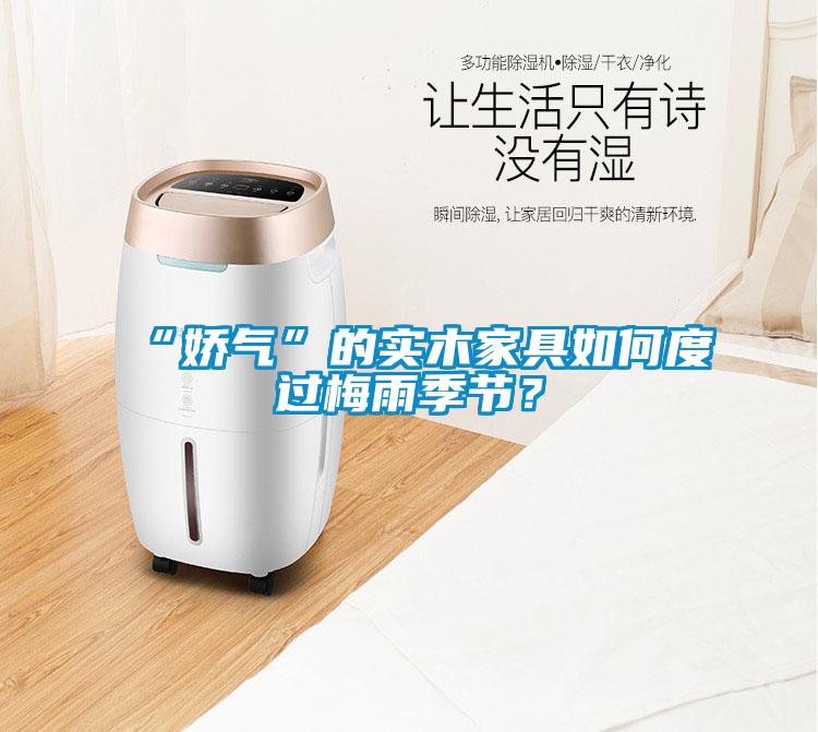 “嬌氣”的實木家具如何度過梅雨季節(jié)？