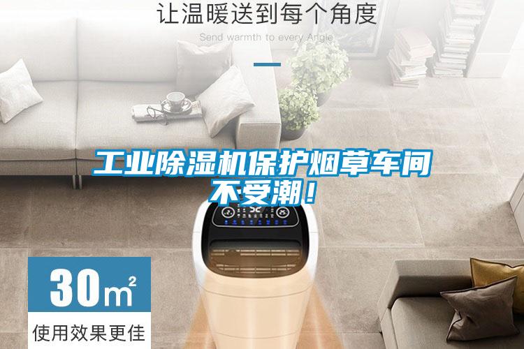 工業(yè)除濕機(jī)保護(hù)煙草車間不受潮！
