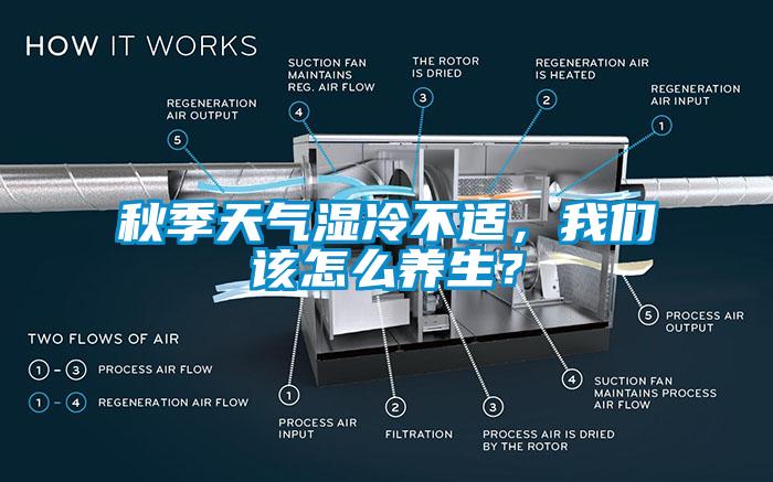 秋季天氣濕冷不適，我們該怎么養(yǎng)生？