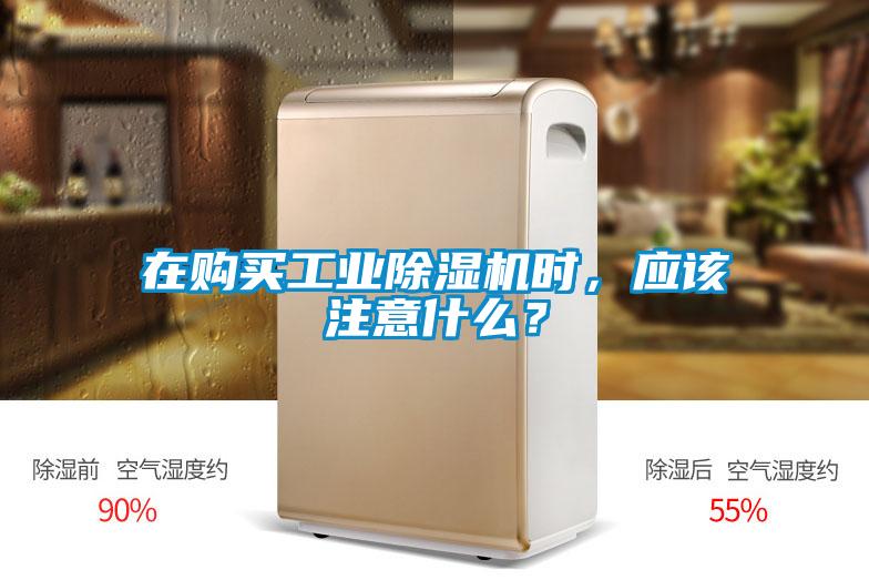 在購(gòu)買(mǎi)工業(yè)除濕機(jī)時(shí)，應(yīng)該注意什么？