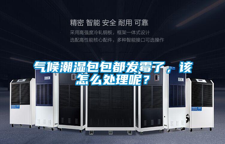 氣候潮濕包包都發(fā)霉了，該怎么處理呢？