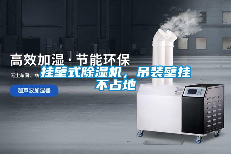 掛壁式除濕機(jī)，吊裝壁掛不占地