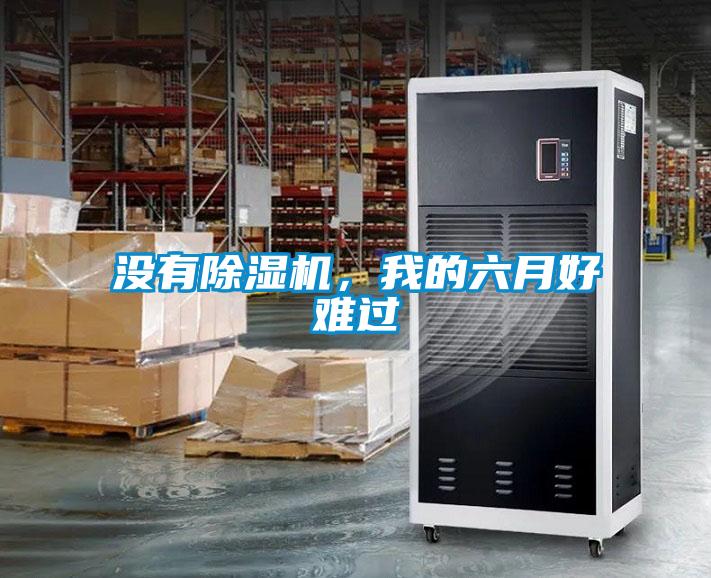 沒有除濕機(jī)，我的六月好難過