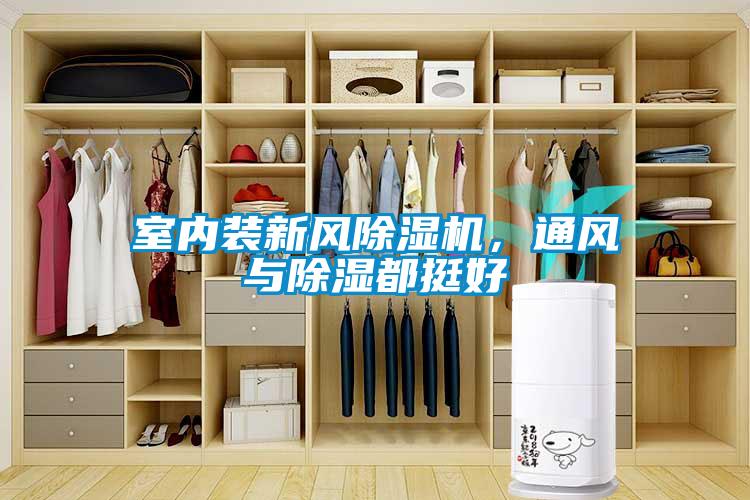 室內(nèi)裝新風(fēng)除濕機(jī)，通風(fēng)與除濕都挺好