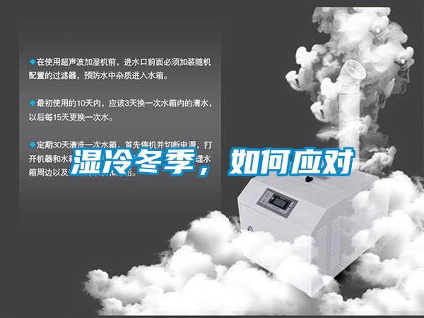 濕冷冬季，如何應(yīng)對(duì)
