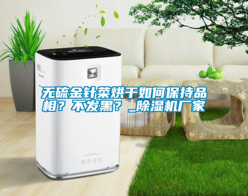 無(wú)硫金針菜烘干如何保持品相？不發(fā)黑？_除濕機(jī)廠家