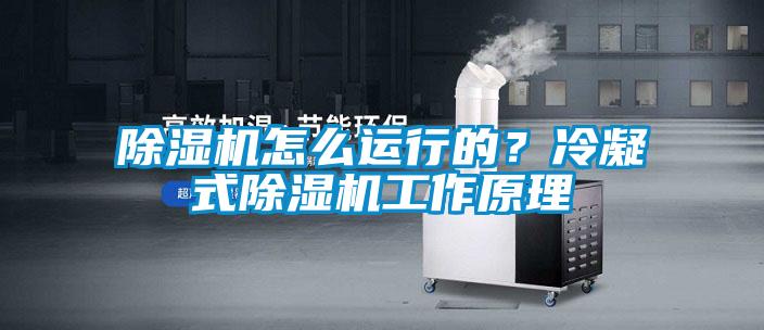 除濕機(jī)怎么運(yùn)行的？冷凝式除濕機(jī)工作原理