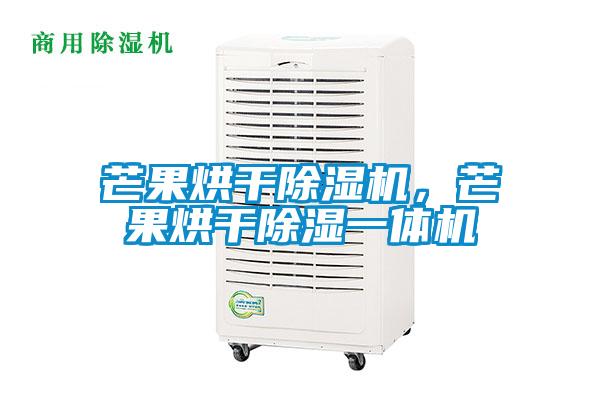 芒果烘干除濕機(jī)，芒果烘干除濕一體機(jī)