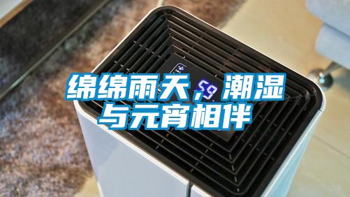 綿綿雨天，潮濕與元宵相伴
