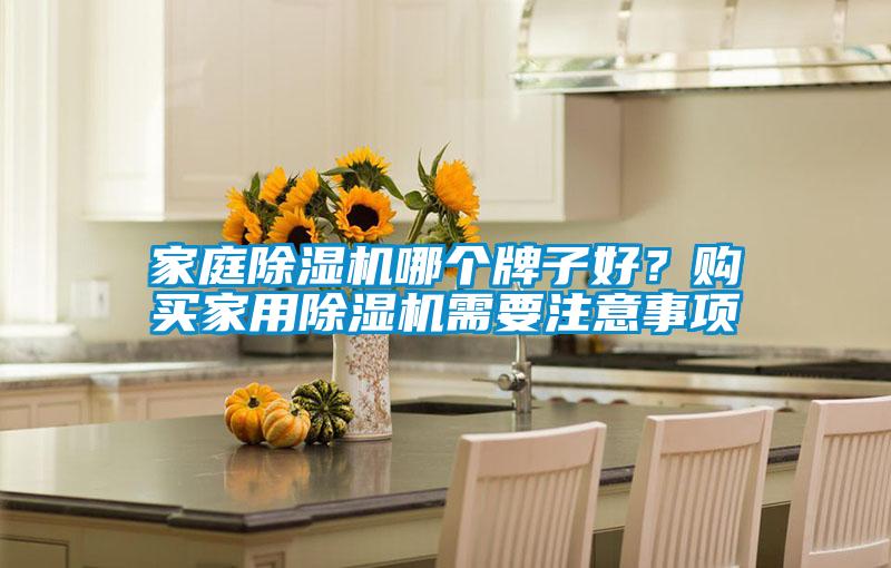 家庭除濕機哪個牌子好？購買家用除濕機需要注意事項