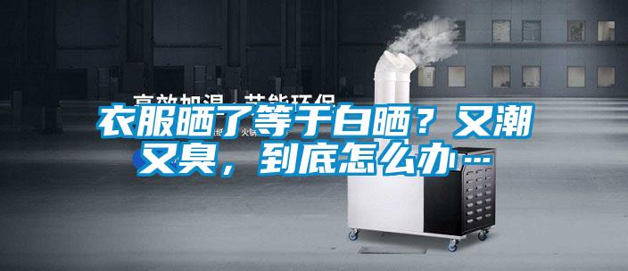 衣服曬了等于白曬？又潮又臭，到底怎么辦…