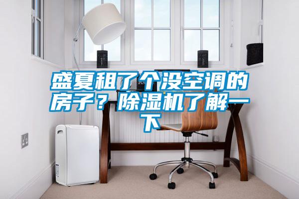 盛夏租了個沒空調(diào)的房子？除濕機了解一下
