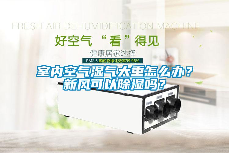 室內(nèi)空氣濕氣太重怎么辦？新風(fēng)可以除濕嗎？