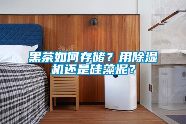 黑茶如何存儲？用除濕機還是硅藻泥？