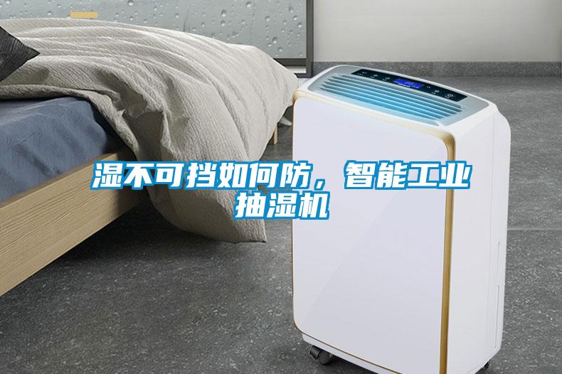 濕不可擋如何防，智能工業(yè)抽濕機