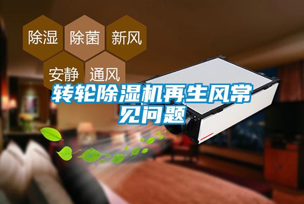 轉(zhuǎn)輪除濕機(jī)再生風(fēng)常見(jiàn)問(wèn)題