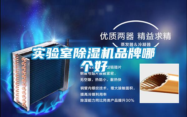 實驗室除濕機(jī)品牌哪個好