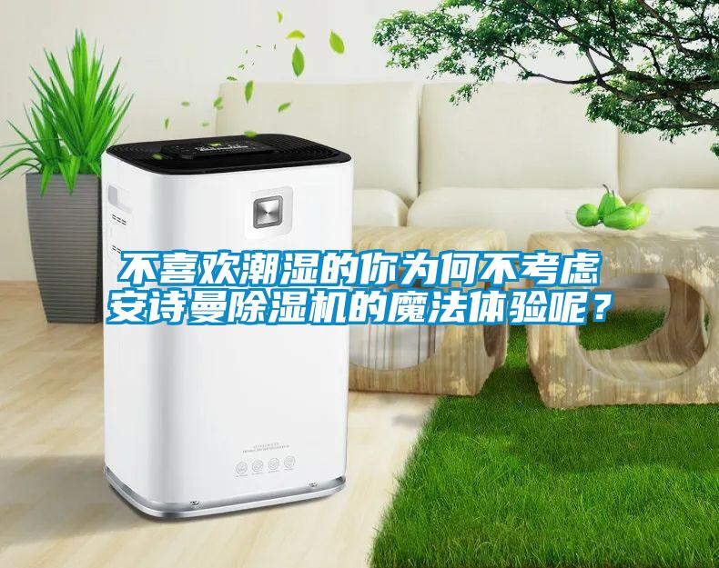 不喜歡潮濕的你為何不考慮安詩曼除濕機的魔法體驗?zāi)兀?/></p>
                              <p style=