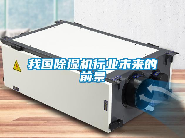 我國(guó)除濕機(jī)行業(yè)未來(lái)的前景