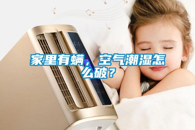 家里有螨，空氣潮濕怎么破？
