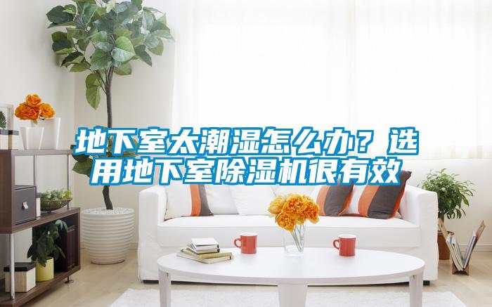 地下室太潮濕怎么辦？選用地下室除濕機(jī)很有效