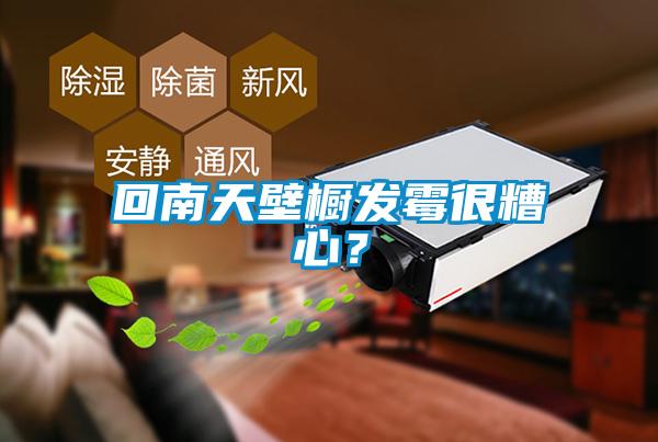 回南天壁櫥發(fā)霉很糟心？