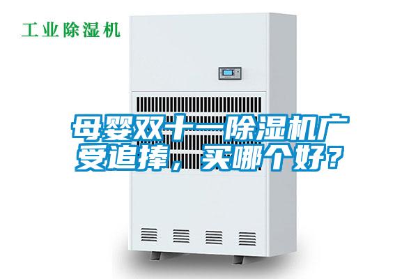 母嬰雙十一除濕機廣受追捧，買哪個好？