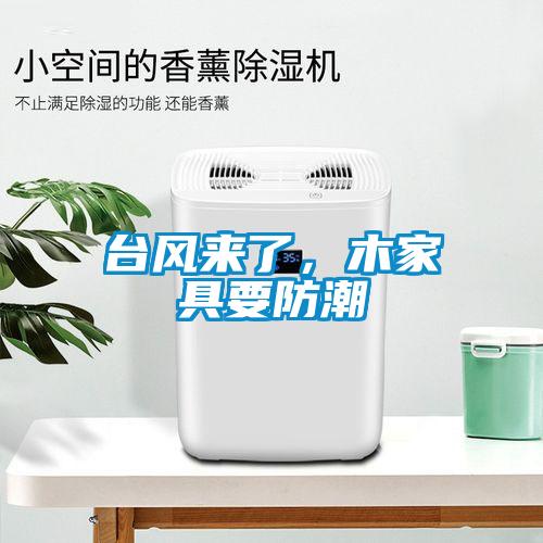 臺(tái)風(fēng)來(lái)了，木家具要防潮