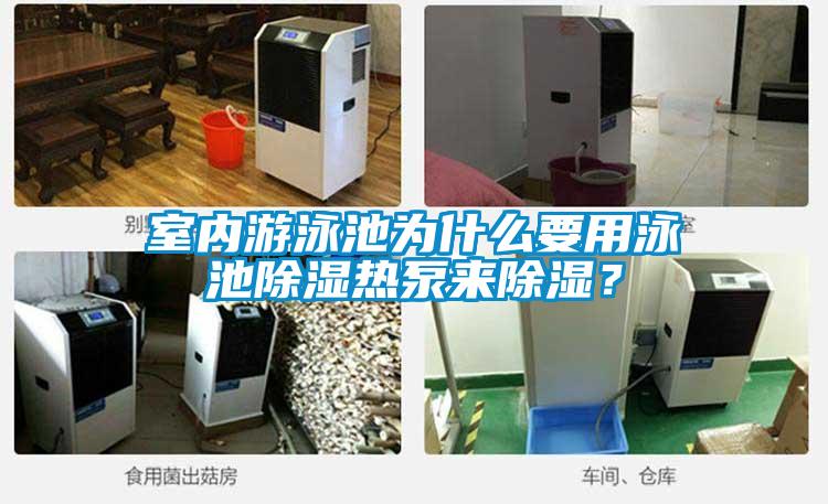 室內游泳池為什么要用泳池除濕熱泵來除濕？