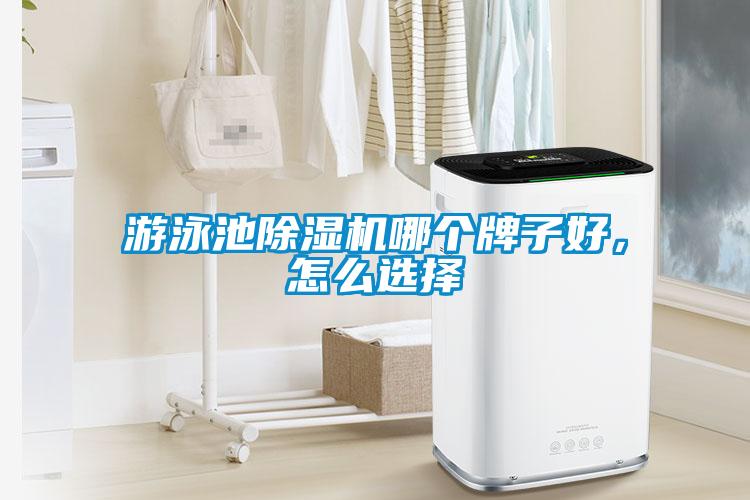 游泳池除濕機(jī)哪個(gè)牌子好，怎么選擇