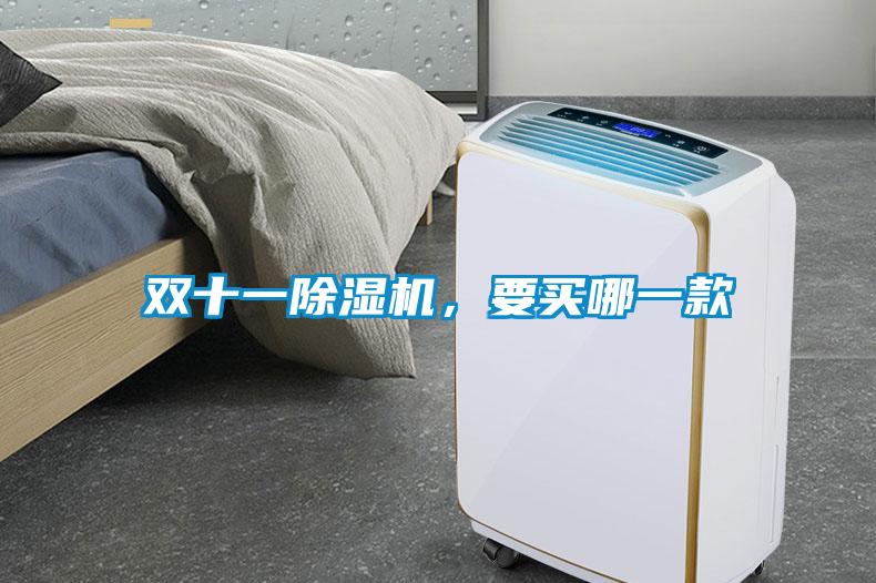 雙十一除濕機，要買哪一款