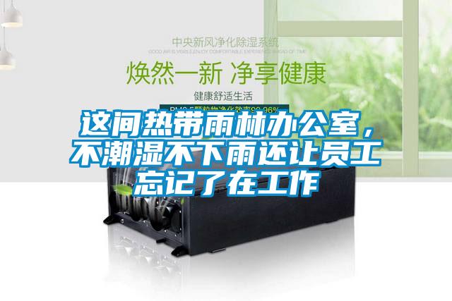 這間熱帶雨林辦公室，不潮濕不下雨還讓員工忘記了在工作