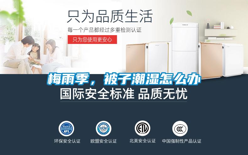 梅雨季，被子潮濕怎么辦