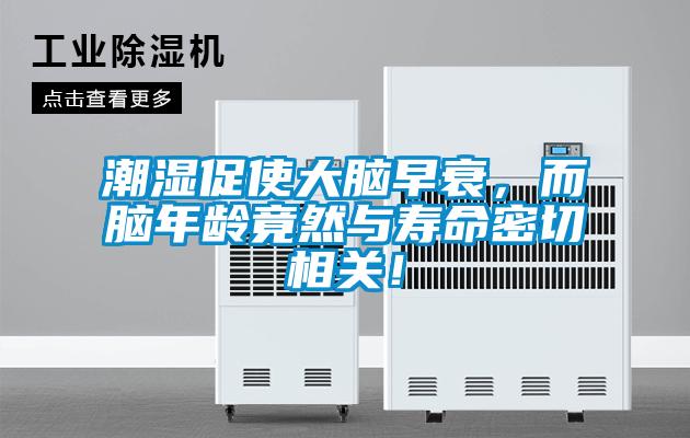 潮濕促使大腦早衰，而腦年齡竟然與壽命密切相關(guān)！