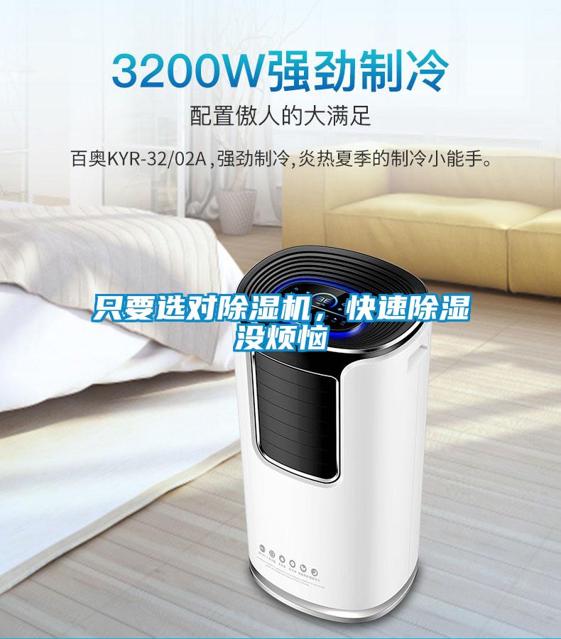 只要選對除濕機，快速除濕沒煩惱