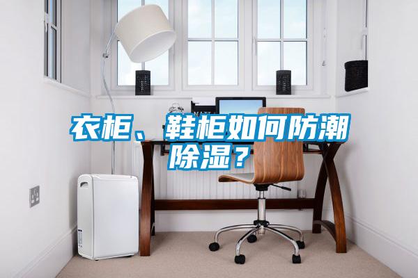 衣柜、鞋柜如何防潮除濕？