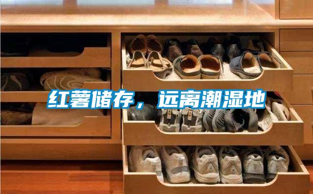 紅薯儲存，遠離潮濕地