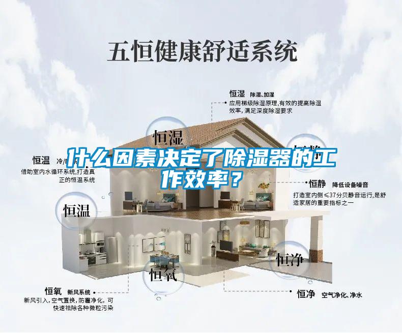 什么因素決定了除濕器的工作效率？