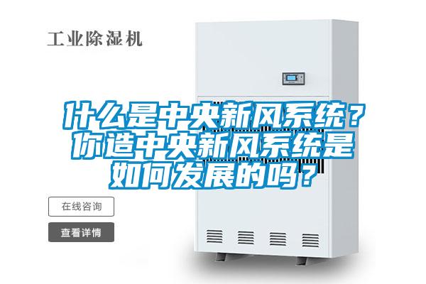 什么是中央新風系統(tǒng)？你造中央新風系統(tǒng)是如何發(fā)展的嗎？