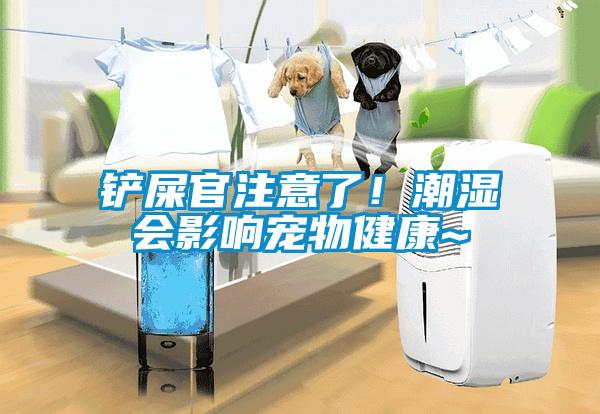 鏟屎官注意了！潮濕會(huì)影響寵物健康~