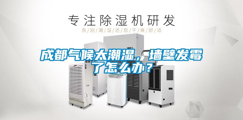 成都?xì)夂蛱睗?，墻壁發(fā)霉了怎么辦？