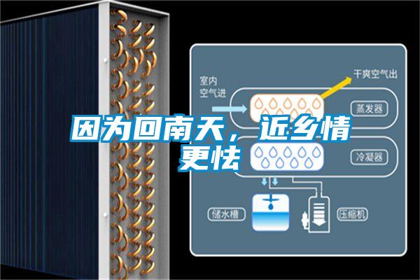 因為回南天，近鄉(xiāng)情更怯