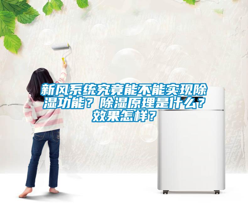 新風系統(tǒng)究竟能不能實現(xiàn)除濕功能？除濕原理是什么？效果怎樣？
